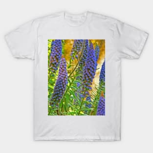 jardim da regaleira T-Shirt